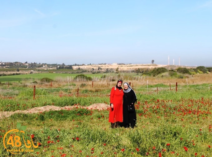 re7la janob (63).JPG